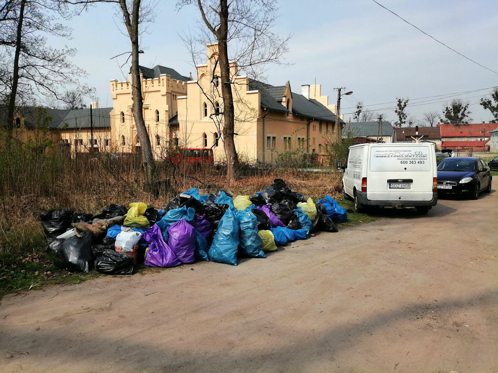 Przy pałacu w Kopicach zapanował porządek