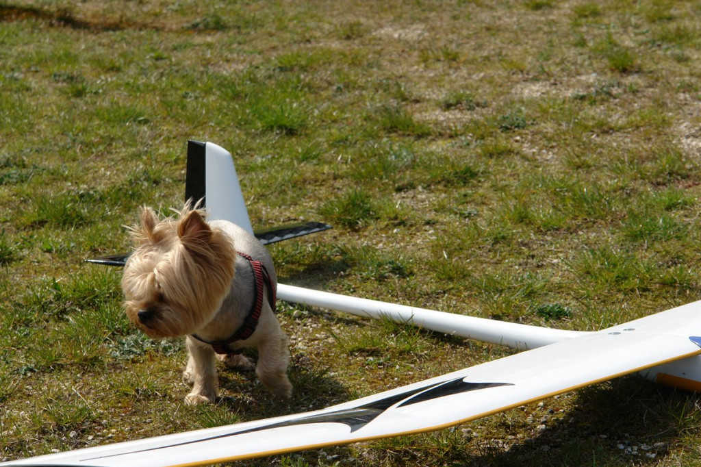 Modelarze rozpoczęli sezon. I rundę zwyciężył Łukasz Troska