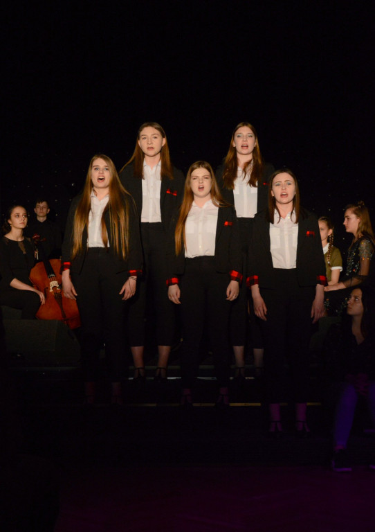 Manewry Artystyczne w Krakowie