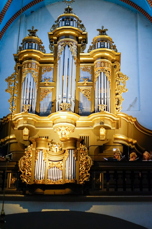 250. rocznica urodzin Józefa Elsnera. Uroczyste obchody w Grodkowie