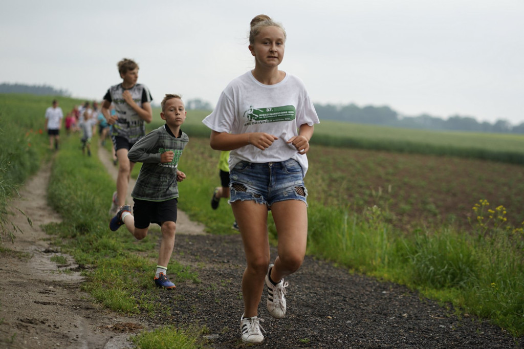 XXV Bieg Olimpijski im. Zdzisława Zielonki w Jędrzejowie (fotorelacja)