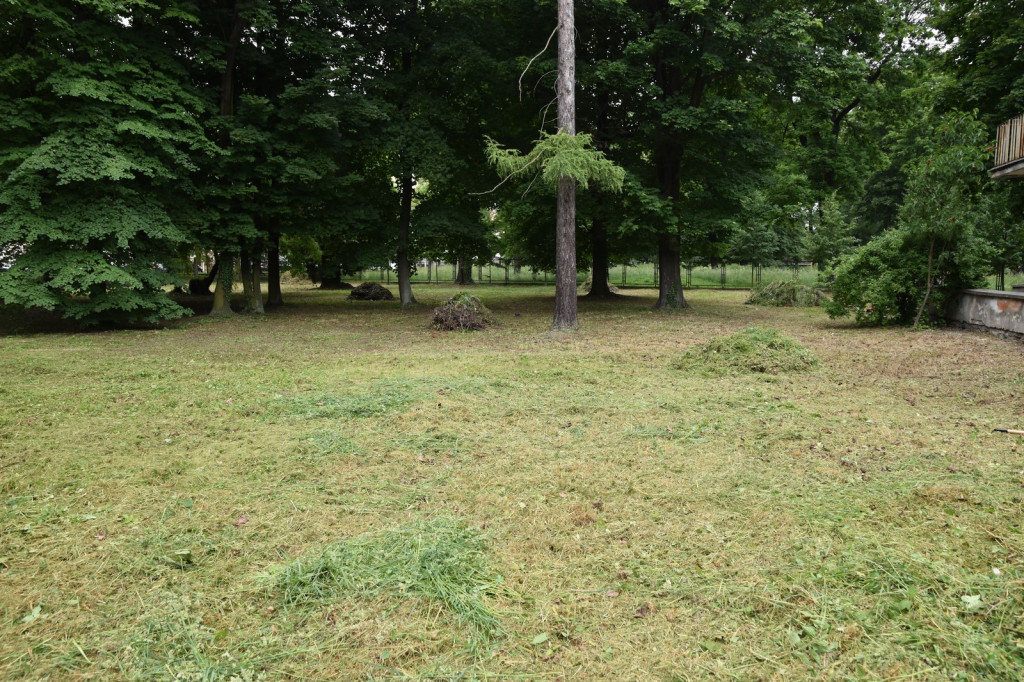 Skrzyknęli się na Facebooku i razem porządkują teren Zakładu Opiekuńczo-Leczniczego