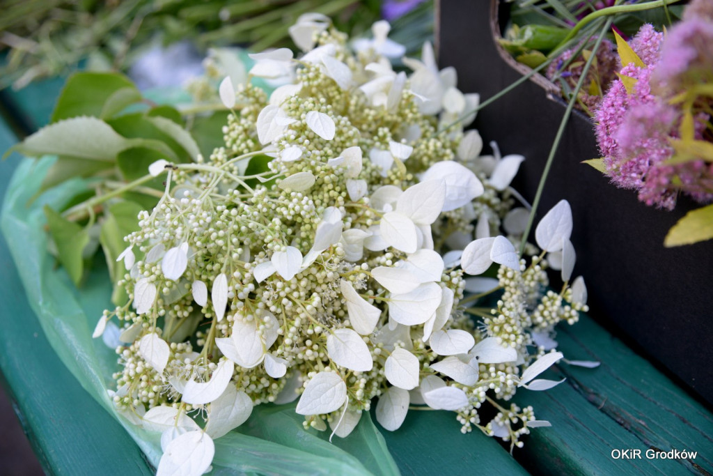 II Muzyczny Piknik Pod Cisem - Noc Świętojańska w Grodkowie