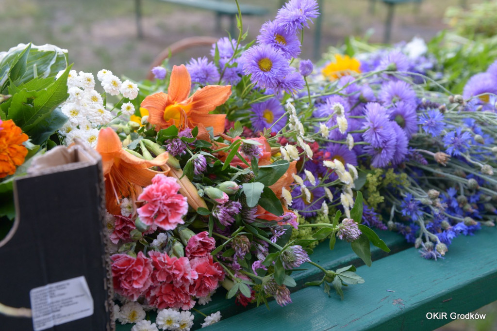 II Muzyczny Piknik Pod Cisem - Noc Świętojańska w Grodkowie