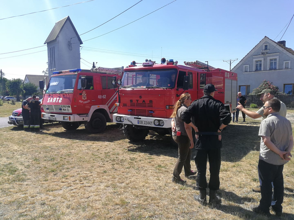 Strażacy doskonalili swoje umiejętności w poruszaniu się po terenach leśnych