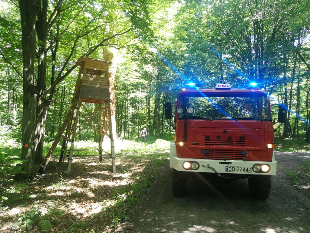 Strażacy doskonalili swoje umiejętności w poruszaniu się po terenach leśnych