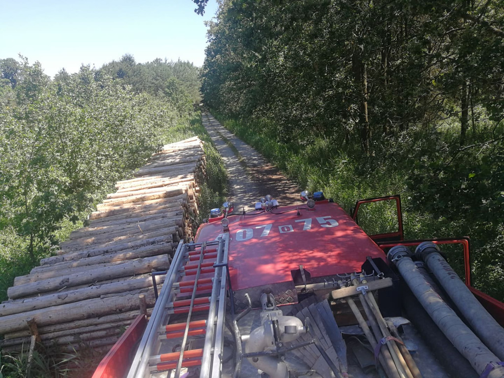 Strażacy doskonalili swoje umiejętności w poruszaniu się po terenach leśnych