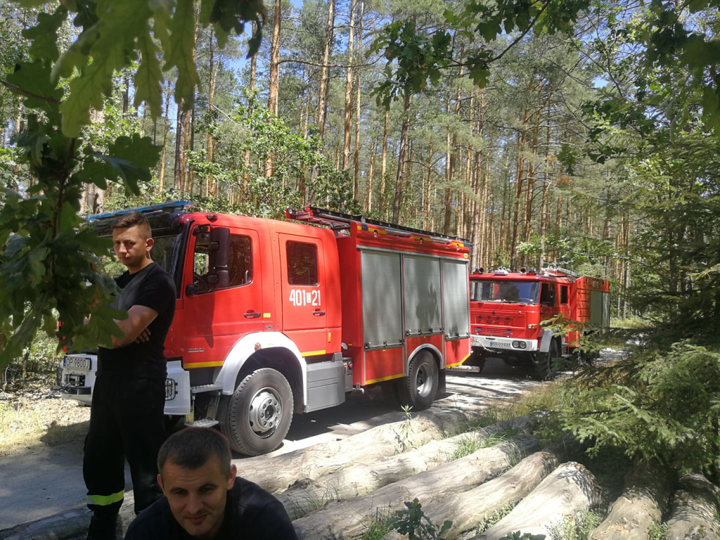 Strażacy doskonalili swoje umiejętności w poruszaniu się po terenach leśnych