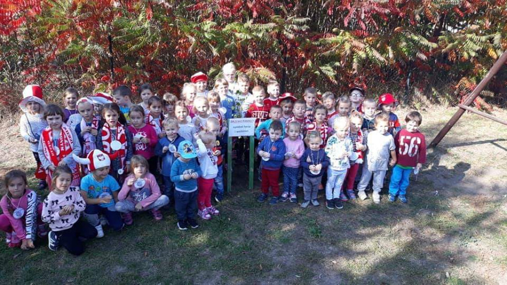 Realizacja Projektu Edukacyjnego 