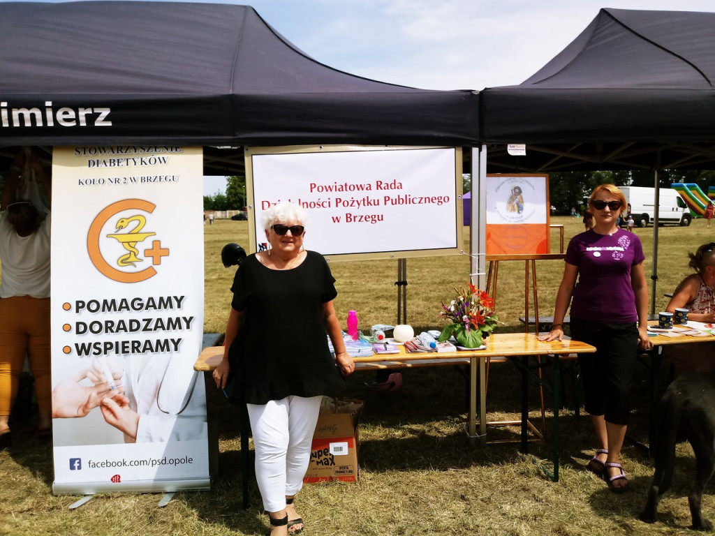 Rada Pożytku Publicznego na święcie Powiatu Brzeskiego