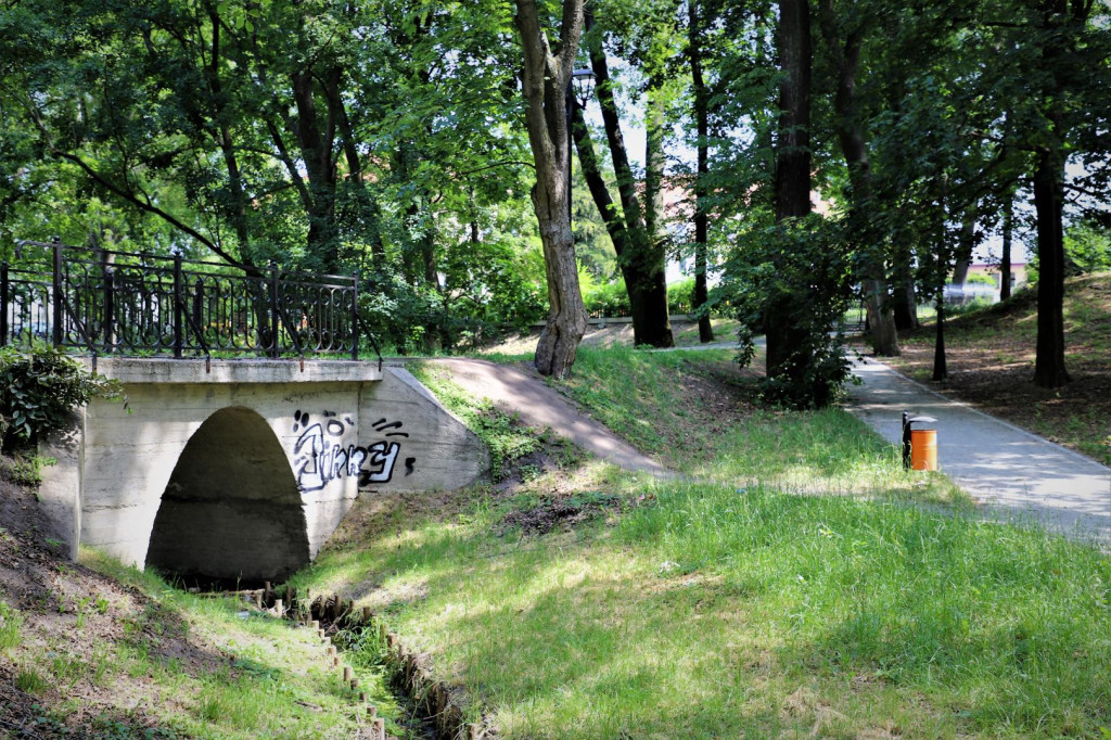 Gmina Brzeg wyznaczyła nagrodę za pomoc w ujęciu wandali