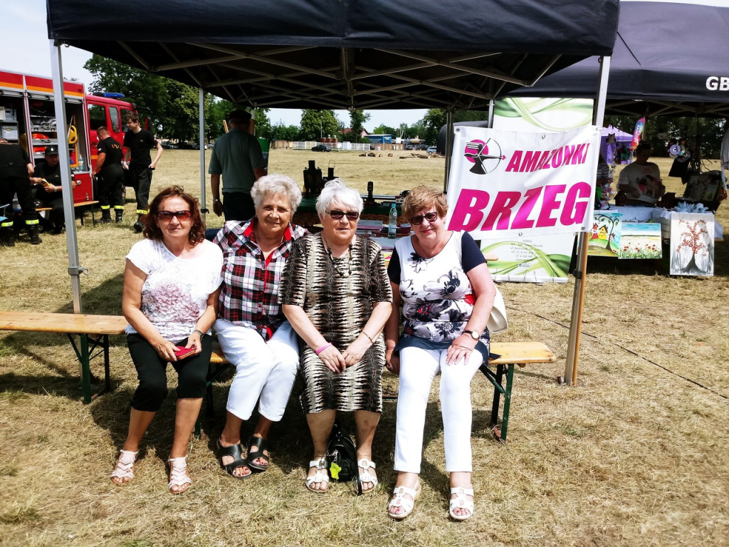 Rada Pożytku Publicznego na święcie Powiatu Brzeskiego