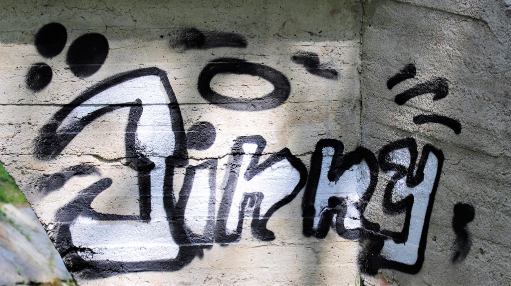 Gmina Brzeg wyznaczyła nagrodę za pomoc w ujęciu wandali