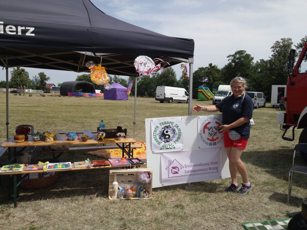 Rada Pożytku Publicznego na święcie Powiatu Brzeskiego