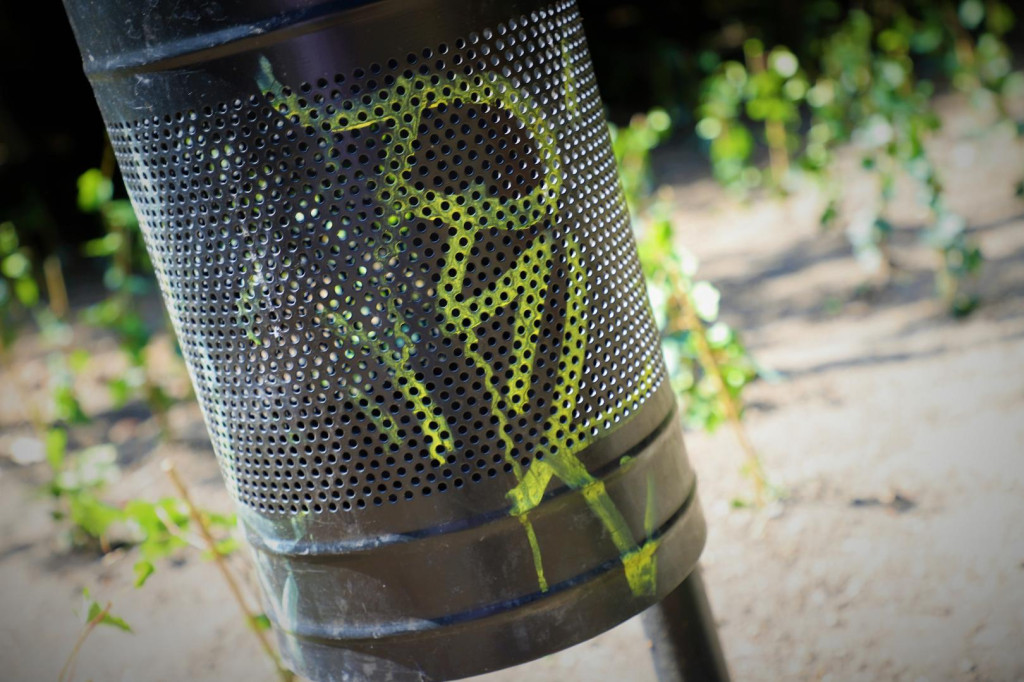 Gmina Brzeg wyznaczyła nagrodę za pomoc w ujęciu wandali