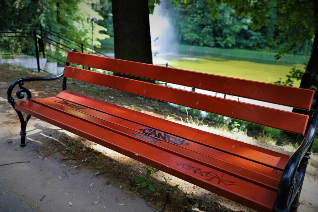 Gmina Brzeg wyznaczyła nagrodę za pomoc w ujęciu wandali