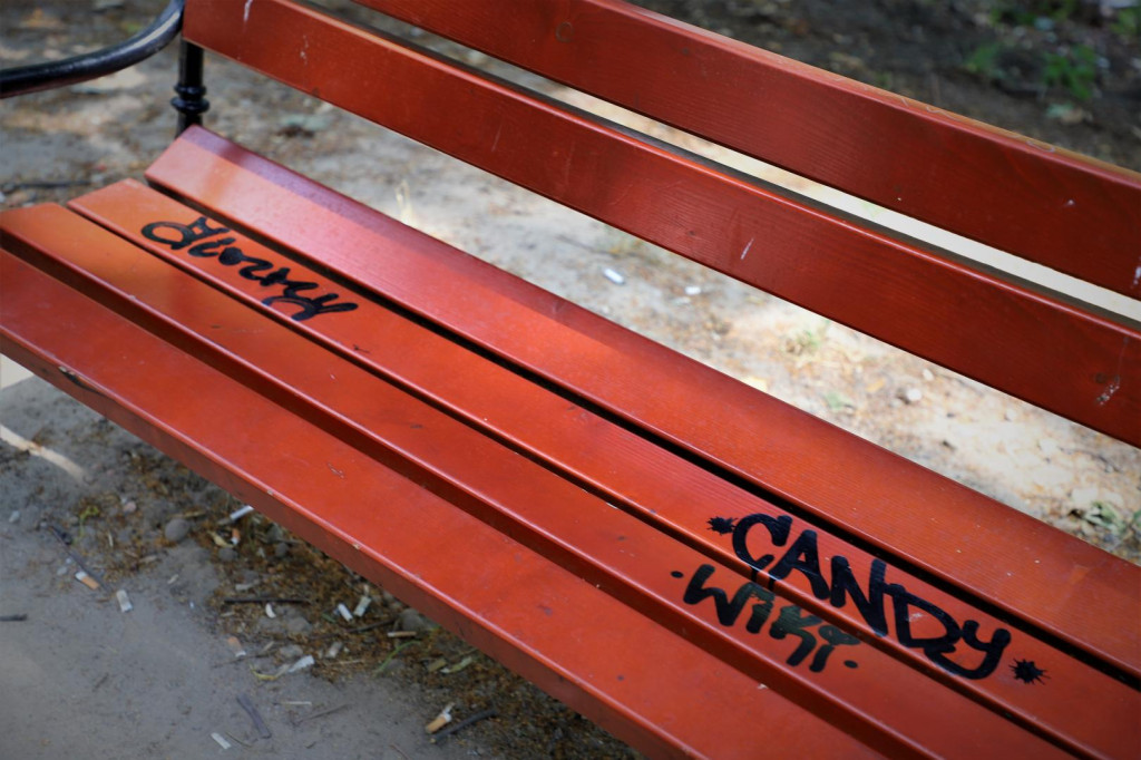 Gmina Brzeg wyznaczyła nagrodę za pomoc w ujęciu wandali