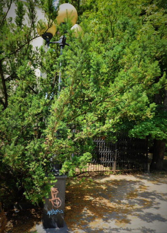 Gmina Brzeg wyznaczyła nagrodę za pomoc w ujęciu wandali