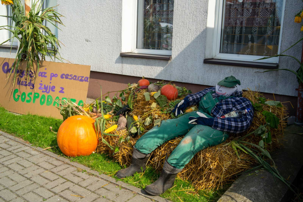 Święto plonów w Lipkach. Najpiękniejszy wieniec dożynkowy w Gminie Skarbimierz z Łukowic Brzeskich