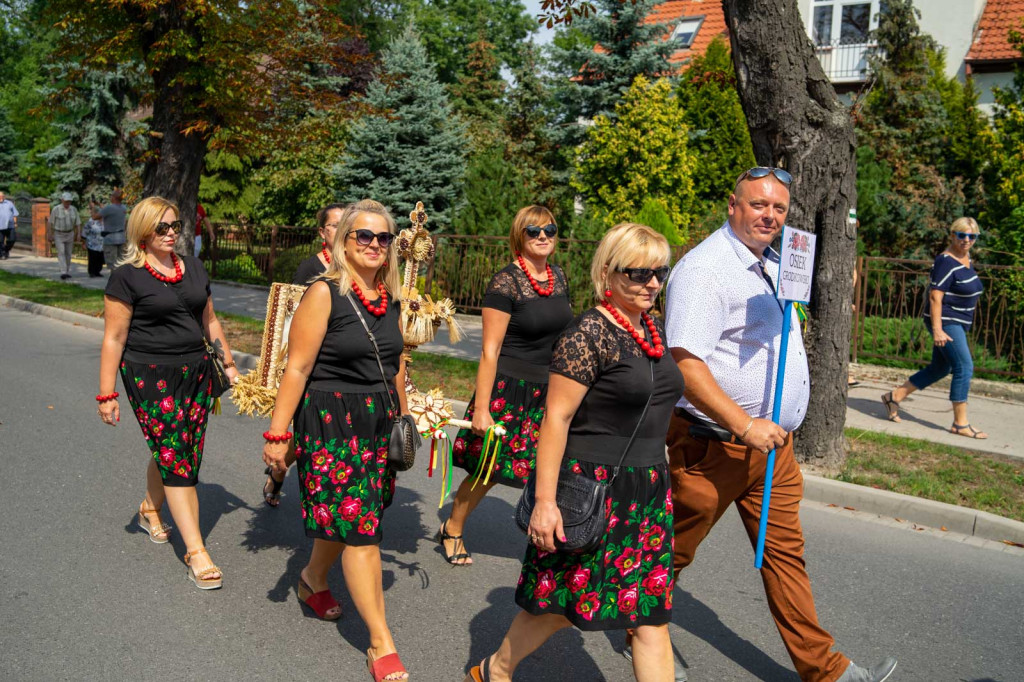 Dożynki Gminne 2019 w Grodkowie [fotorelacja]