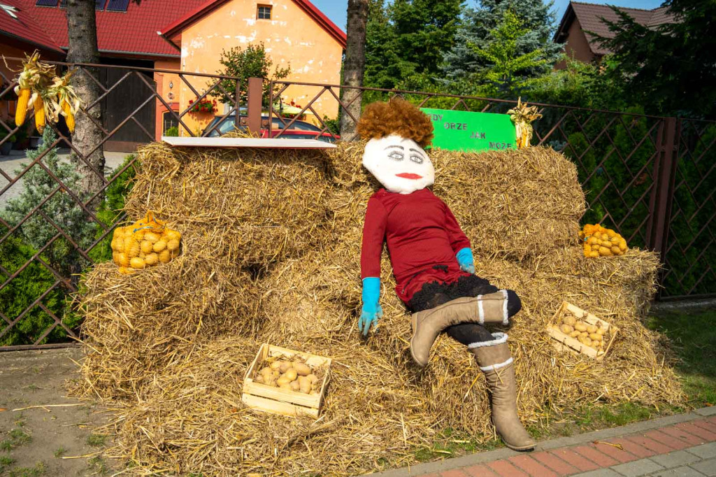 Święto plonów w Lipkach. Najpiękniejszy wieniec dożynkowy w Gminie Skarbimierz z Łukowic Brzeskich