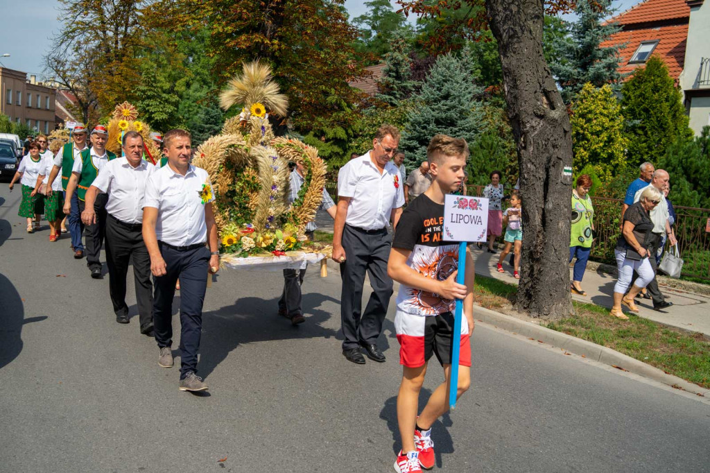 Dożynki Gminne 2019 w Grodkowie [fotorelacja]