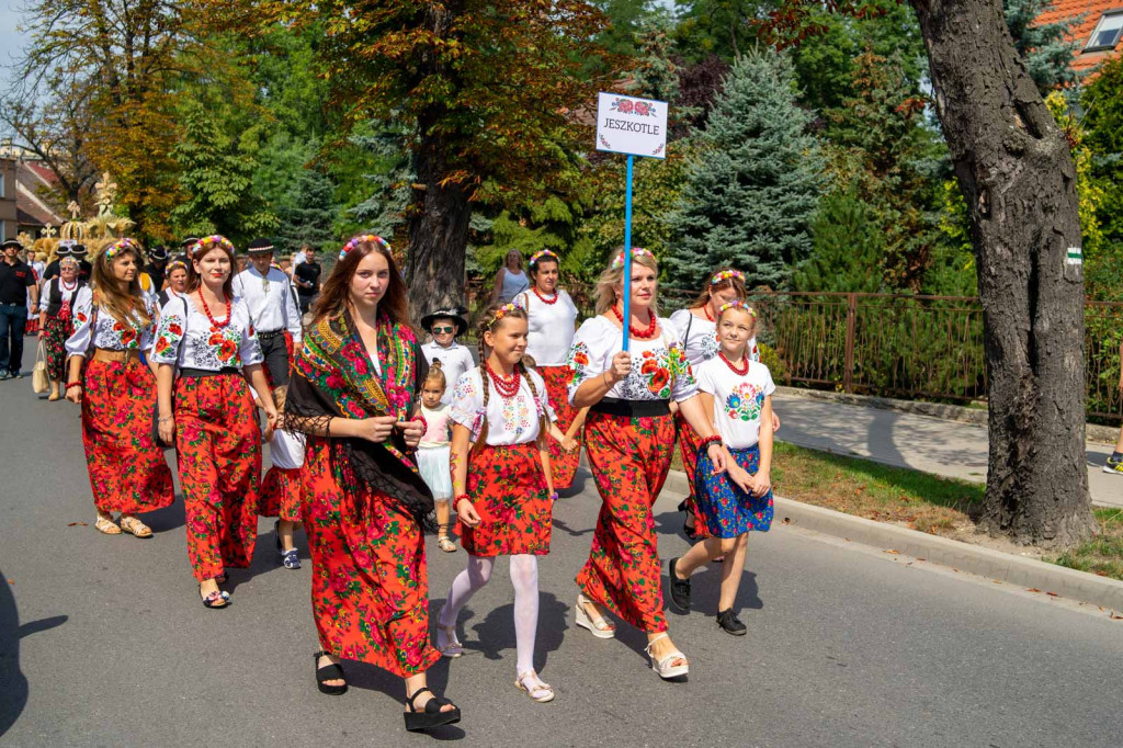 Dożynki Gminne 2019 w Grodkowie [fotorelacja]