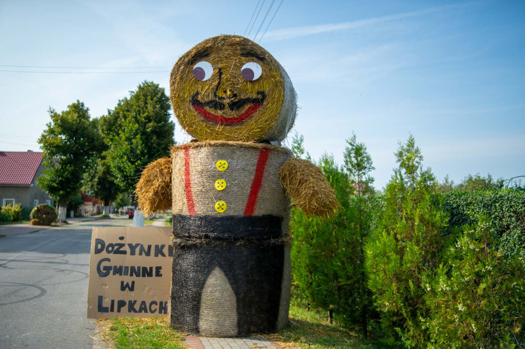 Święto plonów w Lipkach. Najpiękniejszy wieniec dożynkowy w Gminie Skarbimierz z Łukowic Brzeskich