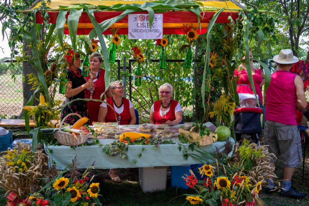 Dożynki Gminne 2019 w Grodkowie [fotorelacja]