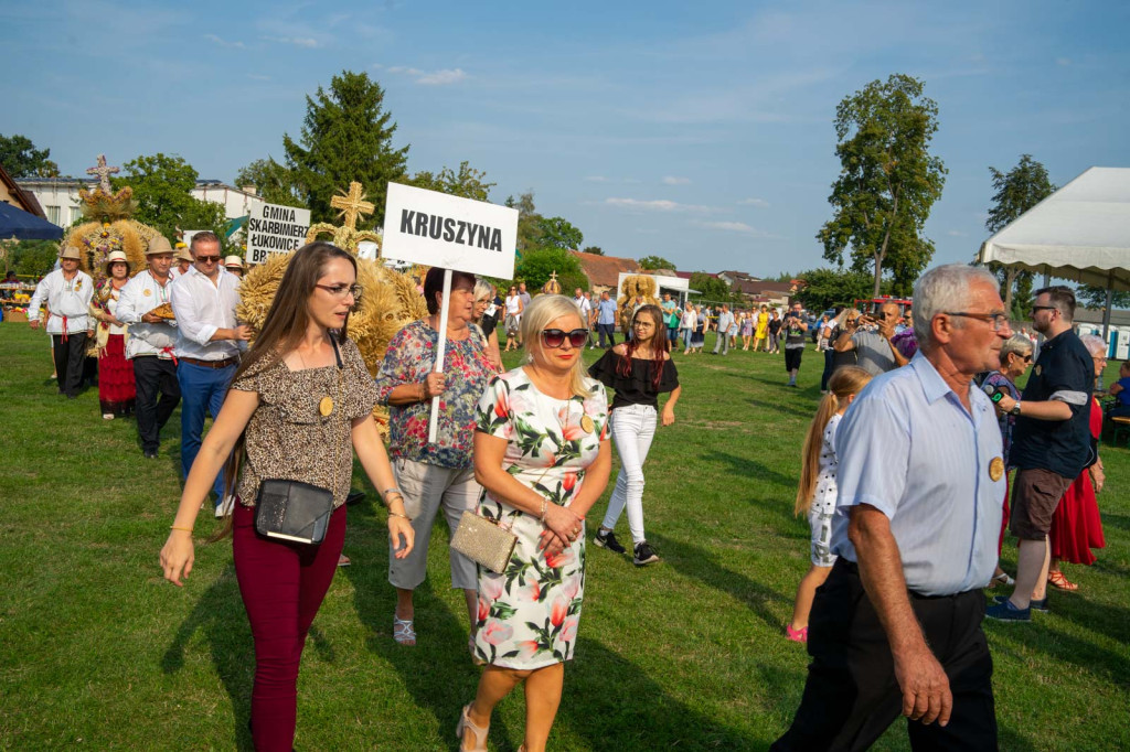 Święto plonów w Lipkach. Najpiękniejszy wieniec dożynkowy w Gminie Skarbimierz z Łukowic Brzeskich