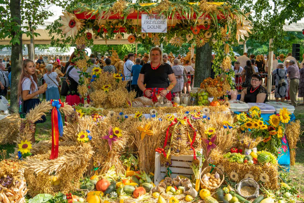 Dożynki Gminne 2019 w Grodkowie [fotorelacja]