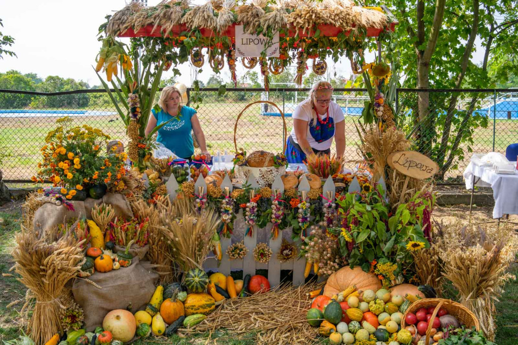Dożynki Gminne 2019 w Grodkowie [fotorelacja]