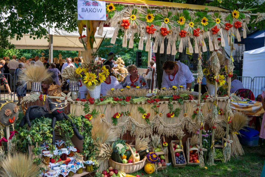 Dożynki Gminne 2019 w Grodkowie [fotorelacja]