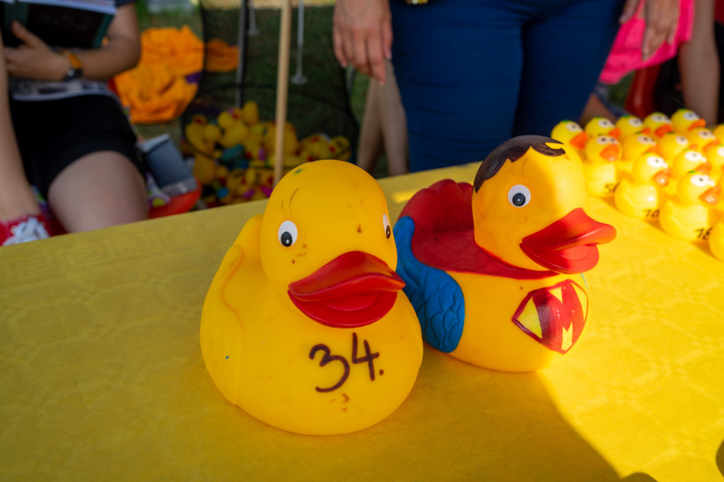 Trzecia edycja Brzeskiego Festiwalu Kaczek. W wyścigu rywalizowało ponad 250 gumowych kaczuszek