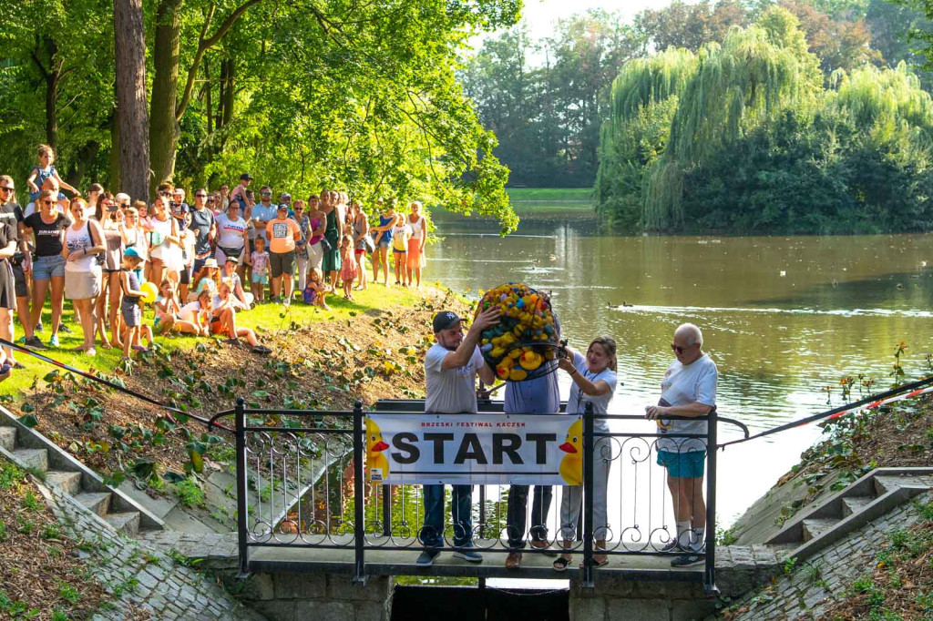 Trzecia edycja Brzeskiego Festiwalu Kaczek. W wyścigu rywalizowało ponad 250 gumowych kaczuszek