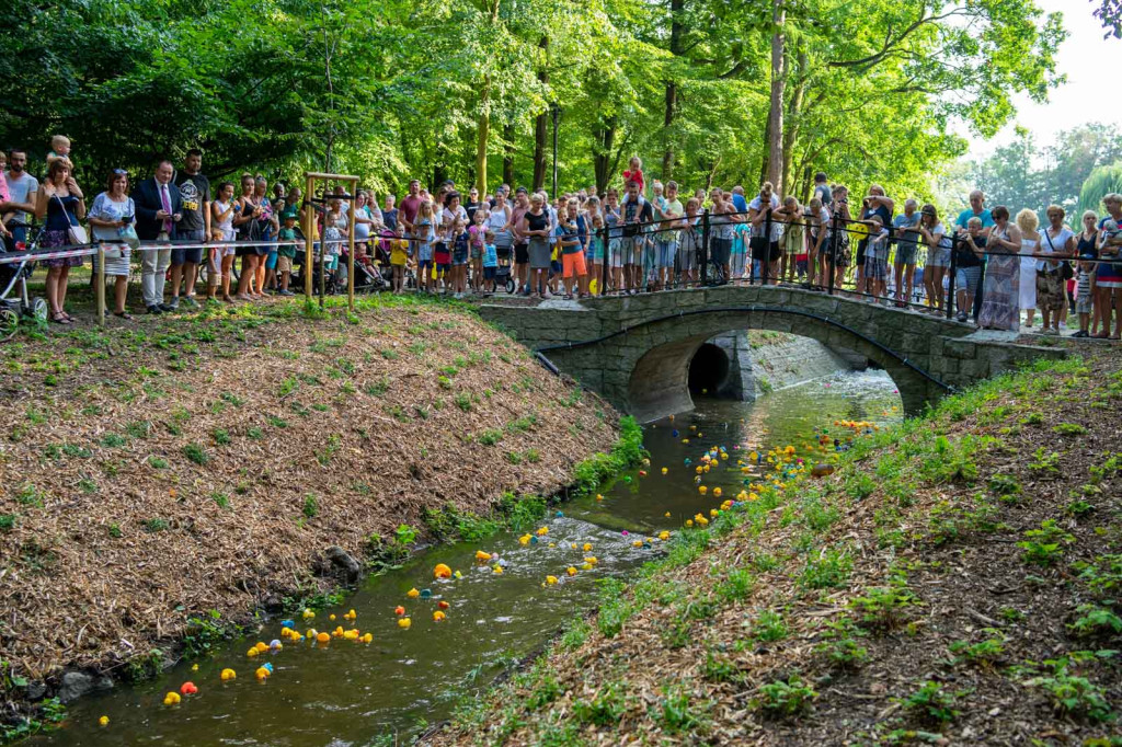 Trzecia edycja Brzeskiego Festiwalu Kaczek. W wyścigu rywalizowało ponad 250 gumowych kaczuszek