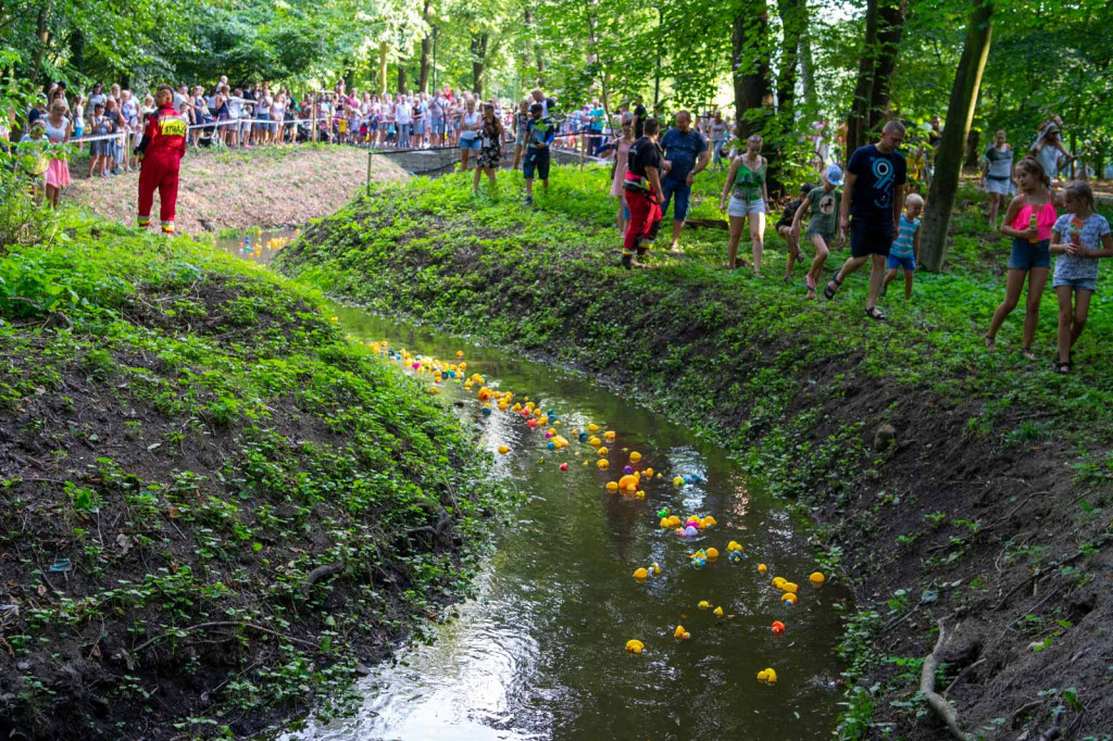 Trzecia edycja Brzeskiego Festiwalu Kaczek. W wyścigu rywalizowało ponad 250 gumowych kaczuszek