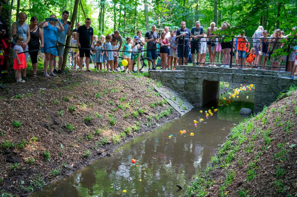 Trzecia edycja Brzeskiego Festiwalu Kaczek. W wyścigu rywalizowało ponad 250 gumowych kaczuszek
