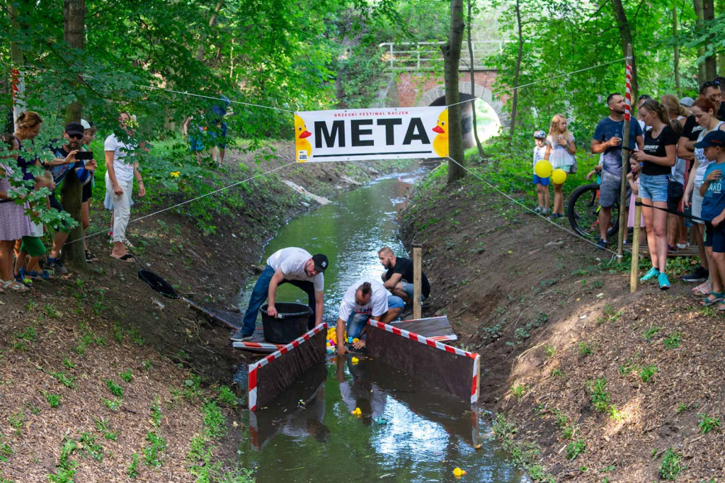 Trzecia edycja Brzeskiego Festiwalu Kaczek. W wyścigu rywalizowało ponad 250 gumowych kaczuszek