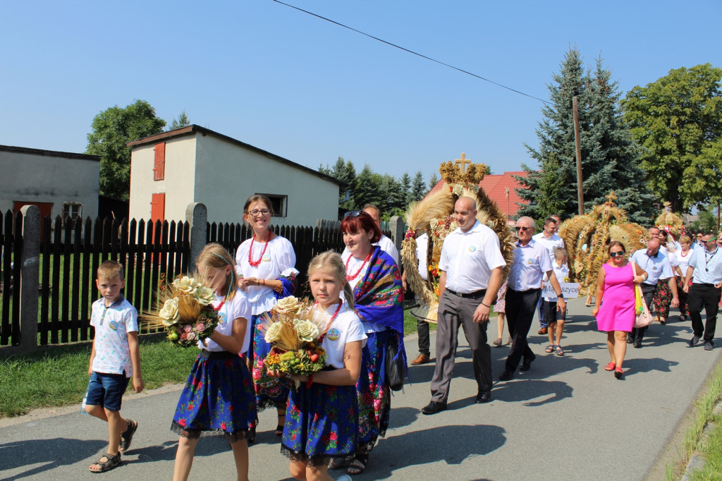 Święto plonów - Lubsza Dożynki Gminne