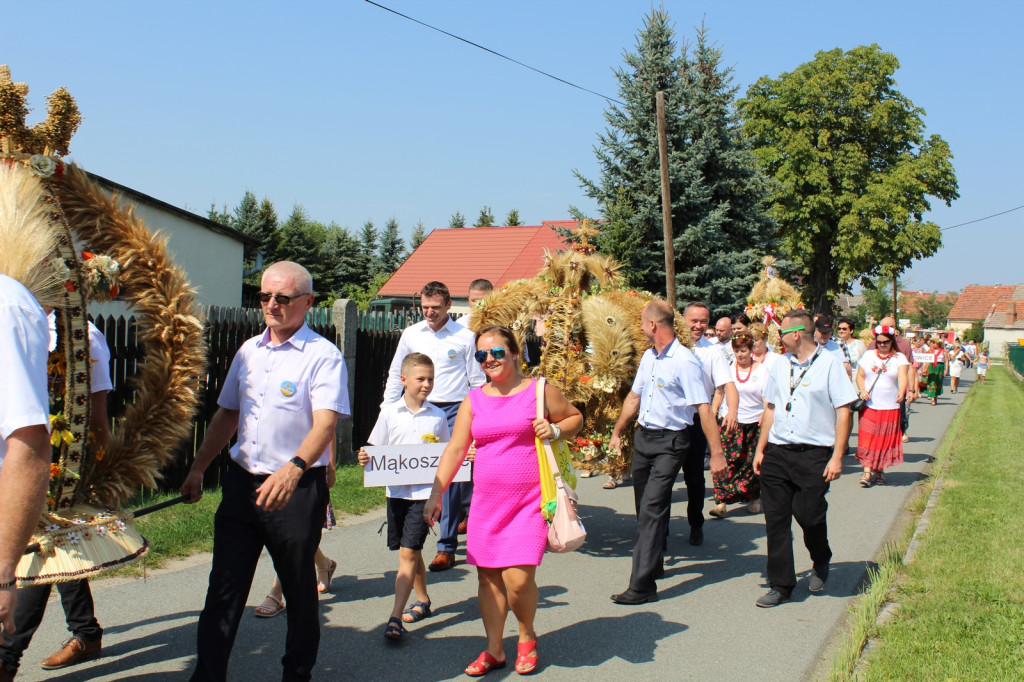 Święto plonów - Lubsza Dożynki Gminne