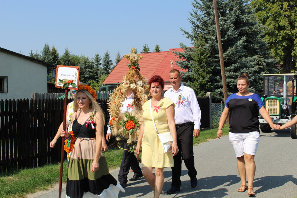 Święto plonów - Lubsza Dożynki Gminne