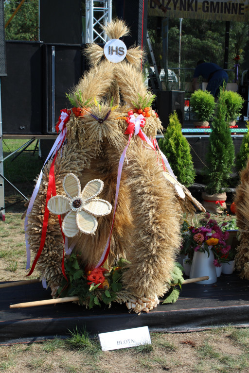 Święto plonów - Lubsza Dożynki Gminne