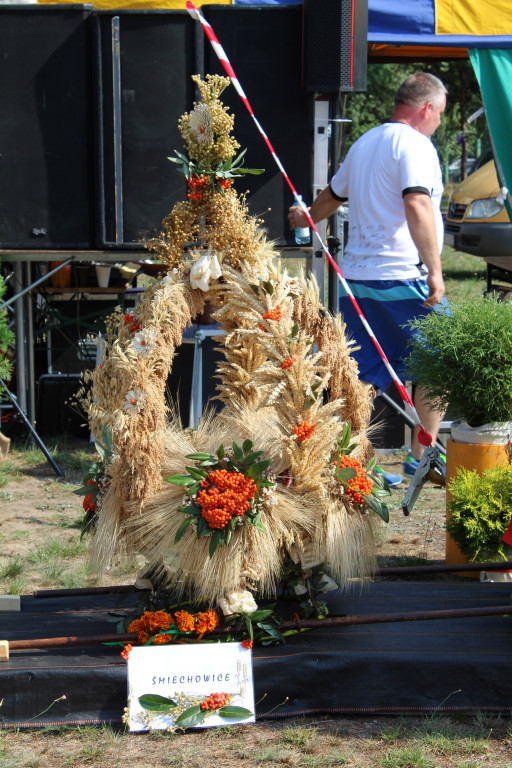 Święto plonów - Lubsza Dożynki Gminne