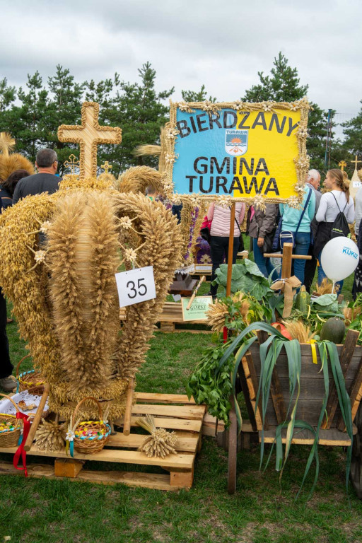Wojewódzkie obchody święta plonów w Lewinie Brzeskim przyciągnęły tłumy