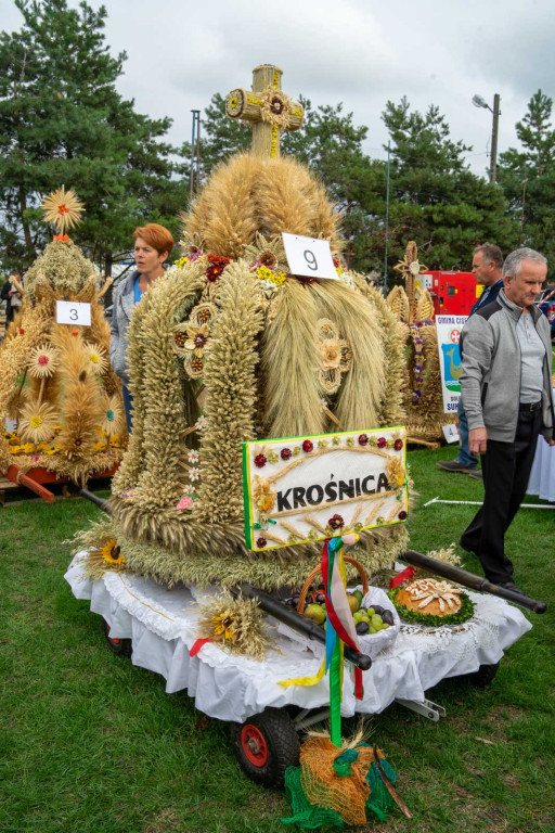 Wojewódzkie obchody święta plonów w Lewinie Brzeskim przyciągnęły tłumy