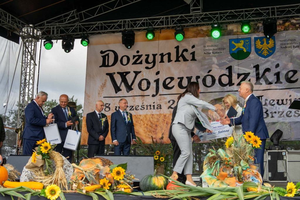 Wojewódzkie obchody święta plonów w Lewinie Brzeskim przyciągnęły tłumy
