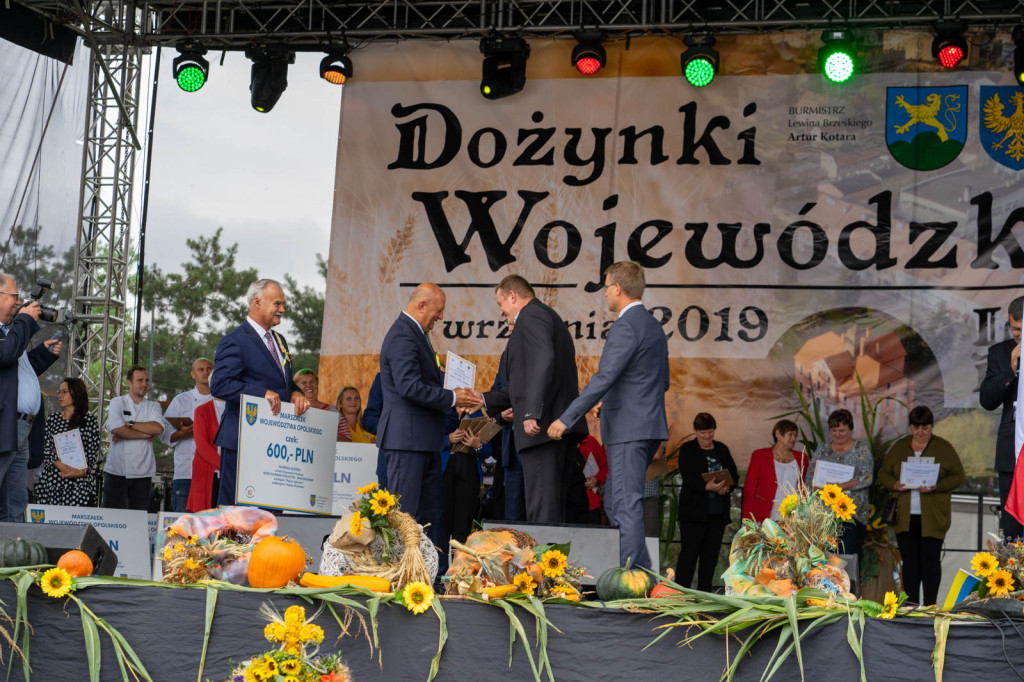 Wojewódzkie obchody święta plonów w Lewinie Brzeskim przyciągnęły tłumy