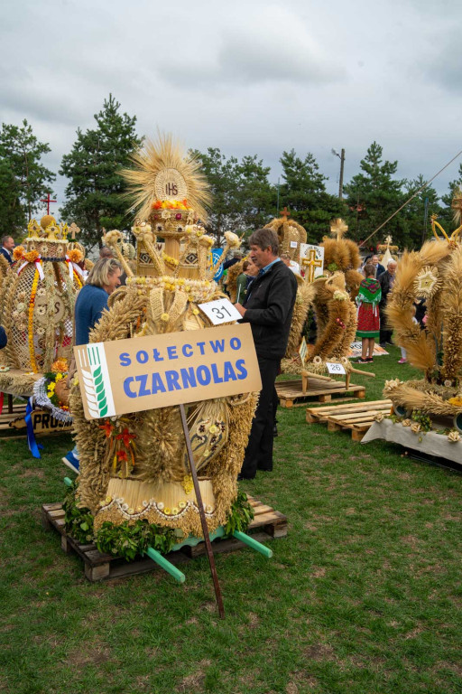 Wojewódzkie obchody święta plonów w Lewinie Brzeskim przyciągnęły tłumy