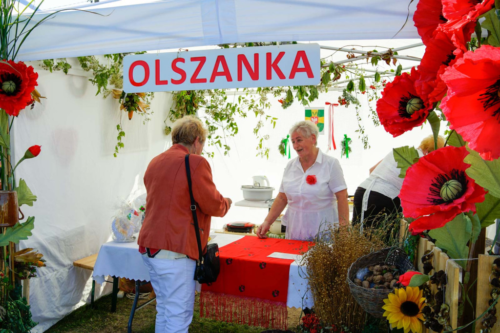 XIX Europejskie Targi Chłopskie w Krzyżowicach